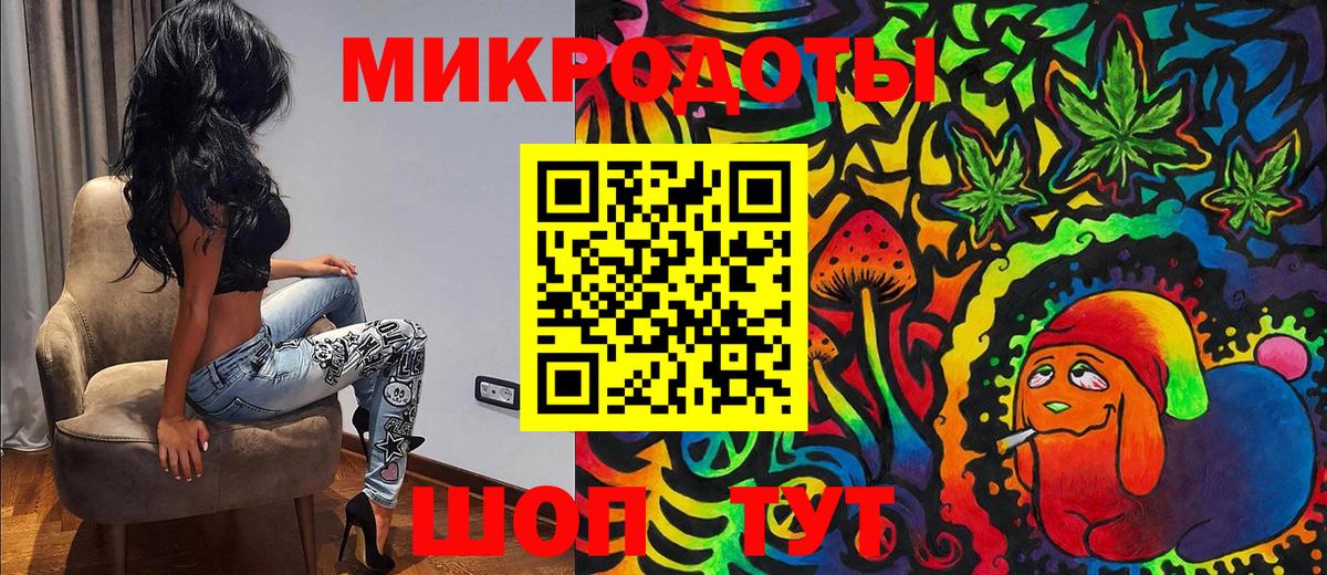 Псилоцибиновые грибы Psilocybe Кисловодск